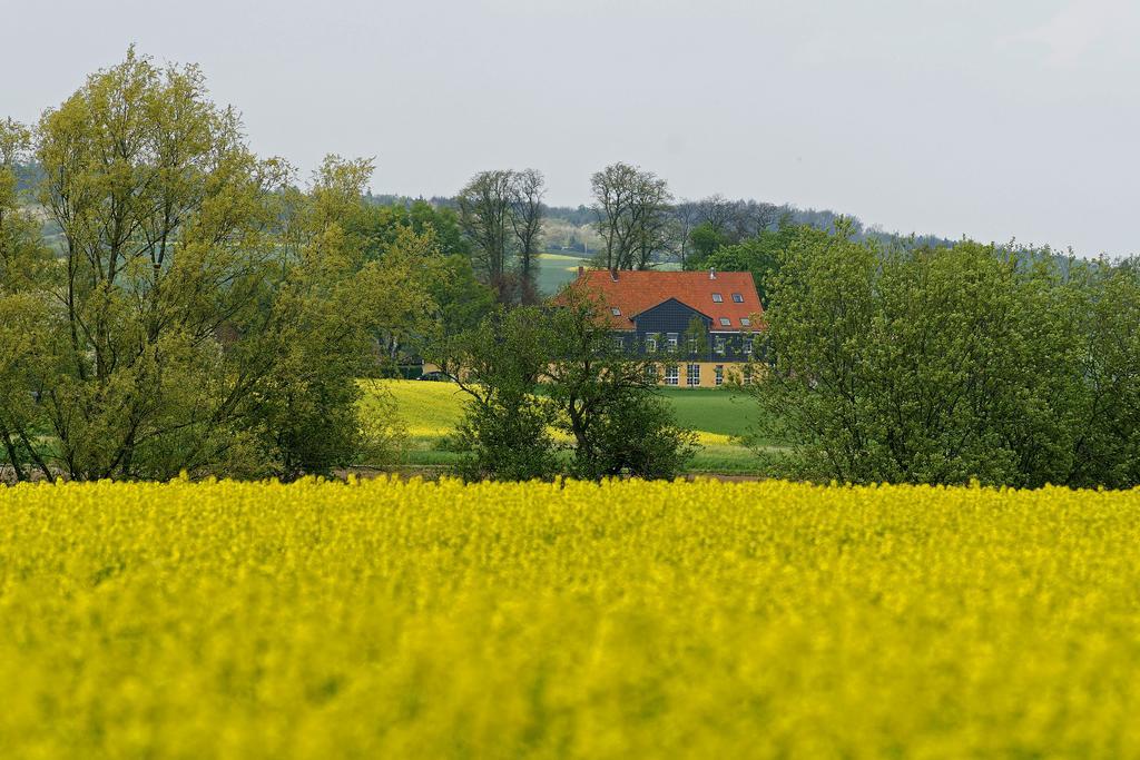 Landhaus Heidekrug Хильдесхайм Экстерьер фото